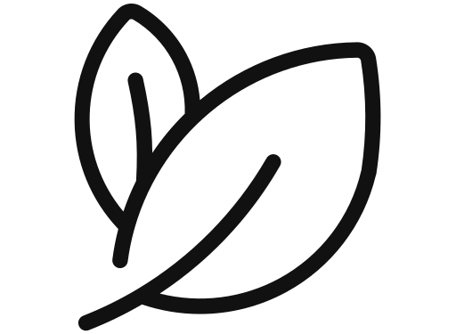 House Icon
